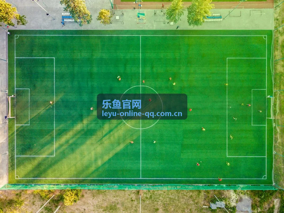 乐鱼官网联赛排名变化数据表封面